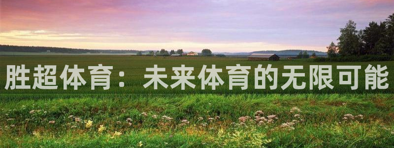 胜超体育：未来体育的无限可能