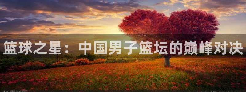 篮球之星：中国男子篮坛的巅峰对决