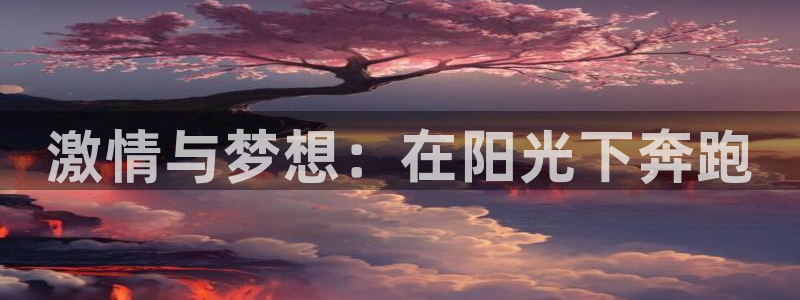 激情与梦想：在阳光下奔跑