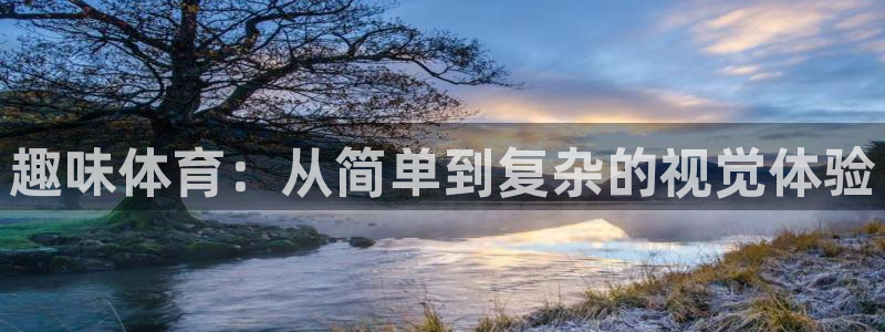 趣味体育：从简单到复杂的视觉体验