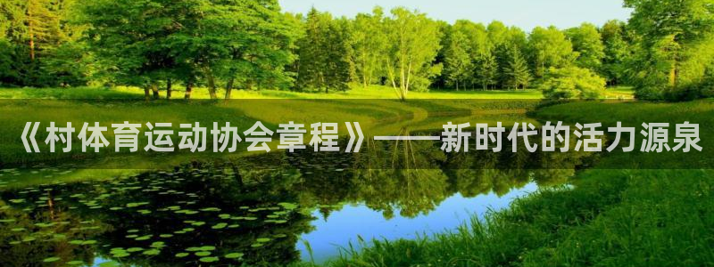 《村体育运动协会章程》——新时代的活力源泉